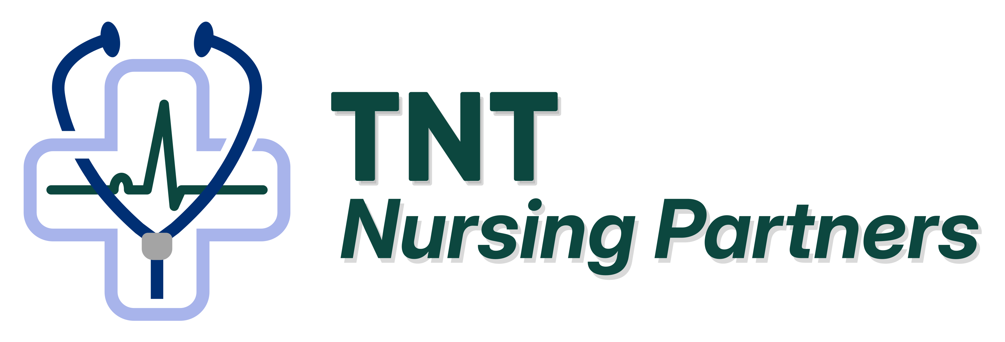 TNT Nursing Partners